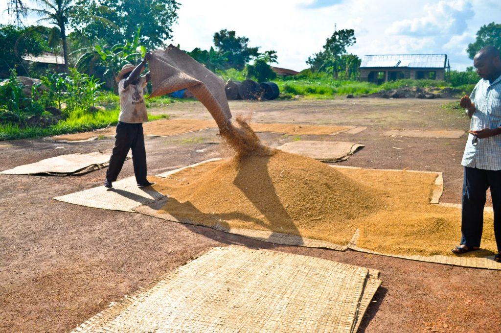 rice-mill-abakaliki-201_1600x1063